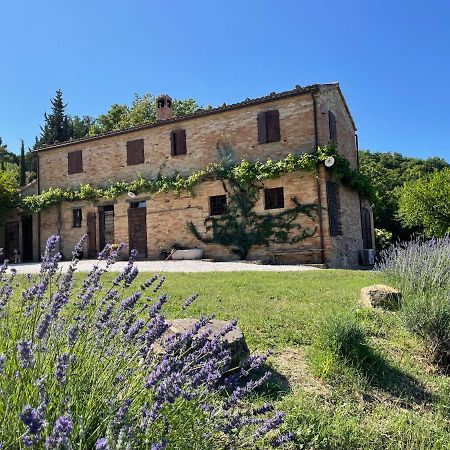 L'Infinito Panzió Mombaroccio Kültér fotó